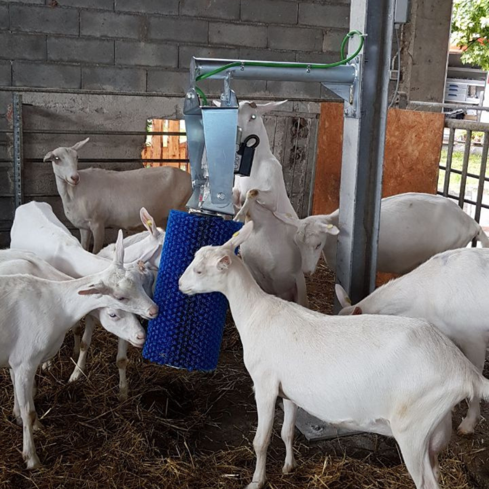 Komforta birste Toy Brush